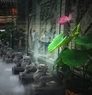 旅行-纪实-抓拍-风景-荷 图片素材