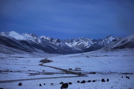 风光-纪实-旅行-雪域高原-雪地 图片素材