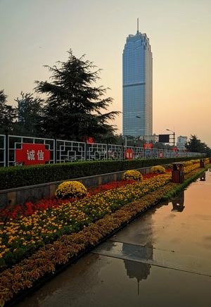纪实-光影-花-鲜花-花坛 图片素材