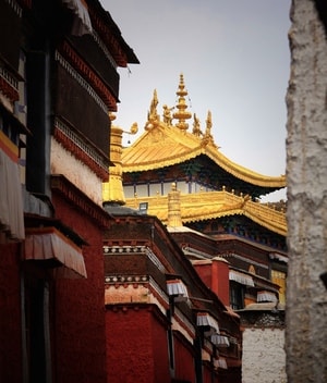 旅行-信仰-扎什伦布寺-寺庙-建筑 图片素材