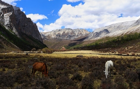 风光-旅行-光影-藏地密码-信仰 图片素材