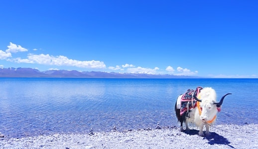 风光-旅行-自然-风景-风光 图片素材