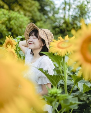 向日葵-小姐姐-女人-女性-美女 图片素材