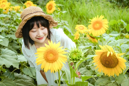 向日葵-小姐姐-女人-女性-美女 图片素材