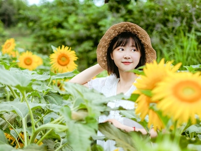 向日葵-小姐姐-女人-女性-美女 图片素材