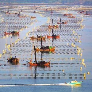 纪实-风光-霞浦-大海-海面 图片素材