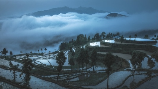 茗岙梯田-清晨-蓝调-云雾-梯田 图片素材