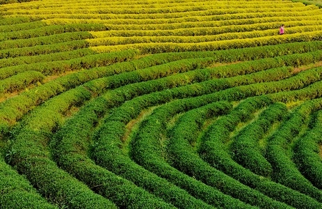 在路上-南平市-我要上封面-旅游-摄影 图片素材