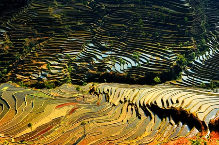 我要上封面-云南-红河县-哈尼族-梯田 图片素材