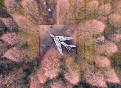 航拍-无人机-梦幻-飞机-树 图片素材