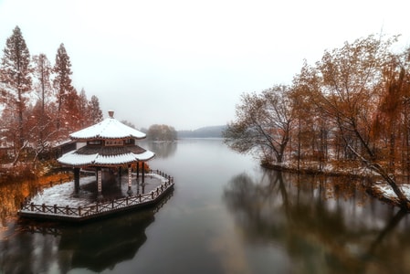 黛色参天-杭州-水-树-游泳池 图片素材