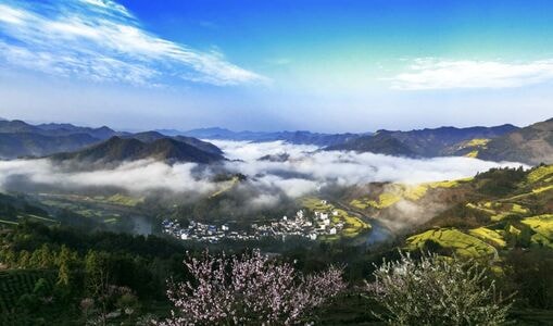 皖南-风景-油菜花-晨曦-雾 图片素材