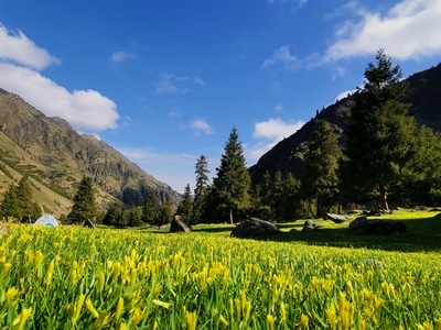 天山牧场-新疆-风光-风光-风景 图片素材