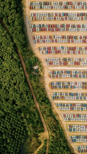 南京-森林-车-航拍-城市化 图片素材