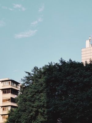 建筑-手机摄影-摄影-城市-旅行 图片素材