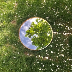 植物-色彩-春天-绿色-镜 图片素材