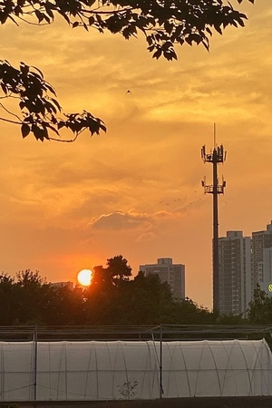 合肥市-线条-街头-我要上封面-自然 图片素材