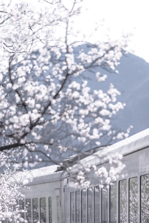 居庸关长城-花海-和谐号-北京-风光 图片素材