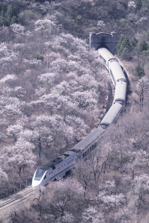 居庸关长城-花海-和谐号-北京-风光 图片素材
