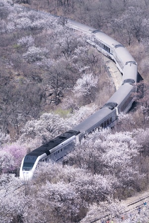 居庸关长城-花海-和谐号-北京-风光 图片素材