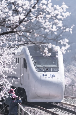 居庸关长城-花海-和谐号-北京-风光 图片素材