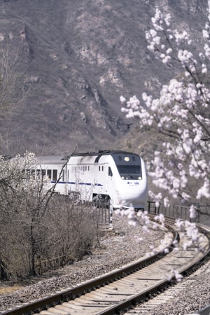 居庸关长城-花海-和谐号-北京-风光 图片素材