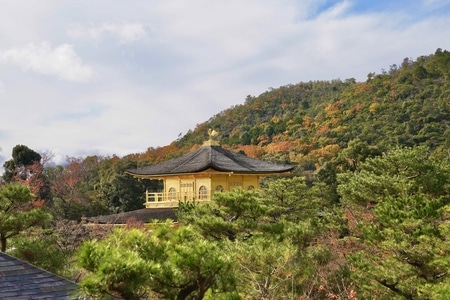 旅游-看你的城市-人文-日本金阁寺-京都金阁寺 图片素材