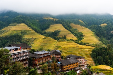 广西旅游-梯田-龙胜梯田-龙脊梯田-稻田 图片素材