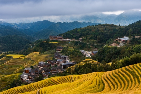 广西旅游-梯田-龙胜梯田-龙脊梯田-稻田 图片素材