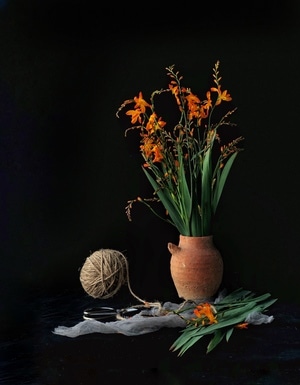 静物-花卉-植物-花瓶-花卉 图片素材