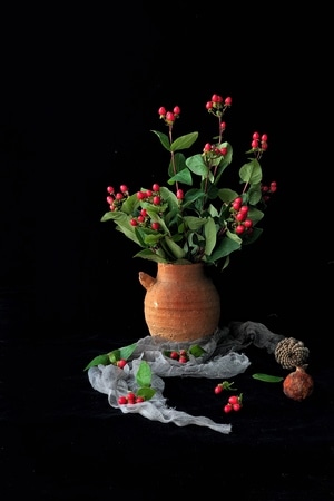静物-花卉-红果-果实-插花 图片素材