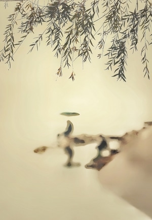 随拍-小品-风景-自然-风光 图片素材