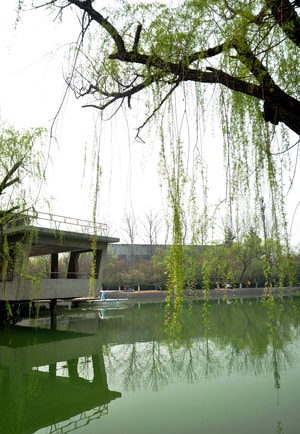 景物-随拍-公园-湖-湖泊 图片素材