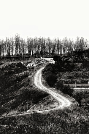 风景-自然-随拍-小品-风景 图片素材