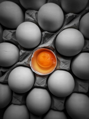 静物拍摄-乒乓球-鸡蛋-蛋黄-食物 图片素材