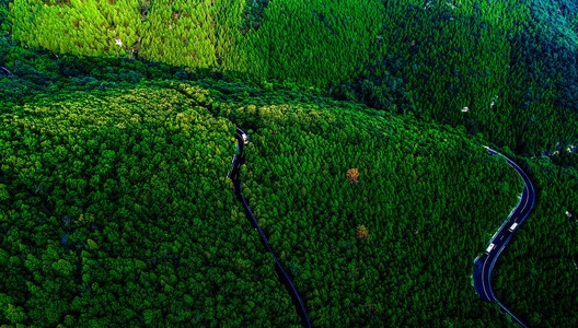 绿色-风光-旅游-风景-风光 图片素材