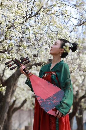 人像-古装-琵笆-美女-风光 图片素材