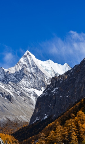 亚丁-央迈勇-浓浓秋色-三怙雪山-雪山 图片素材