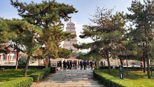 旅行-记录-生活-城市-西安 图片素材