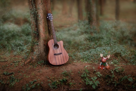 静物摄影-我要上封面-森林-乐器-吉他 图片素材