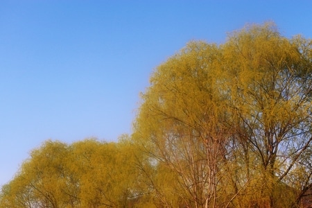 风景-山里-摄影-我要上封面-风光 图片素材