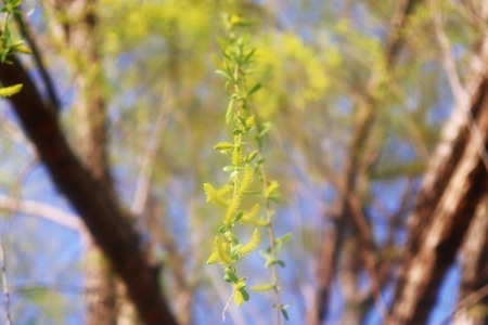 风景-山里-摄影-我要上封面-风光 图片素材