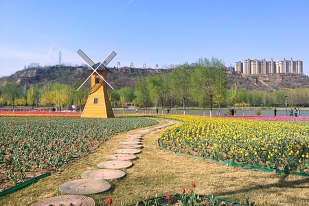 @编辑mix-像素蜜蜂官方账号-花朵-风景-花 图片素材