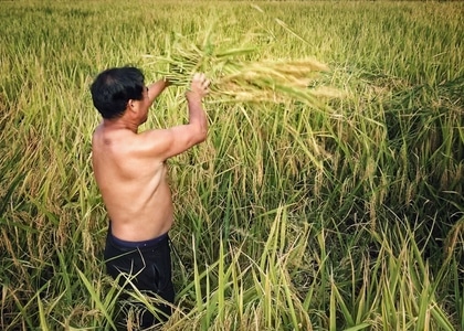 秋日物语-摄想行事-手机摄影-人文集散地-每日一图 图片素材