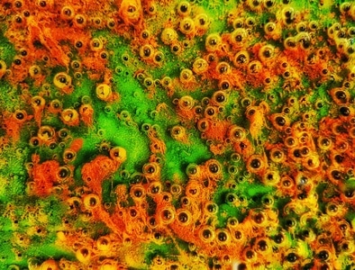 摄想行事-每日一图-手机摄影-气泡-水泡 图片素材