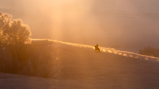 冬季-晨光-草原-风景-晨光 图片素材