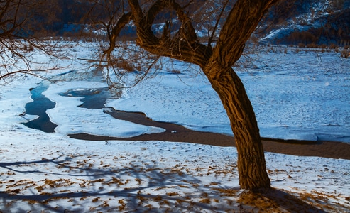 冬季-河流-雪地-河流-雪景 图片素材