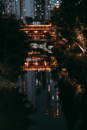 生活-夜景-街道-百姓生活-成都 图片素材