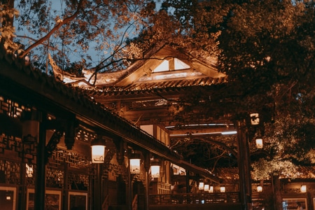 看你的城市-旅行-成都-百姓生活-夜景 图片素材