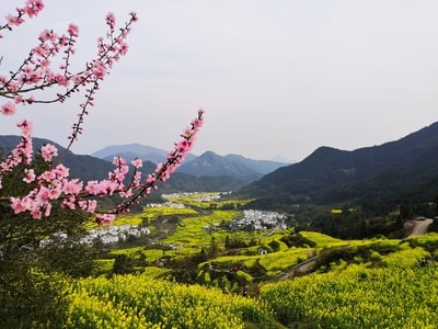 旅行-手机摄影-婺源-风光-风景 图片素材